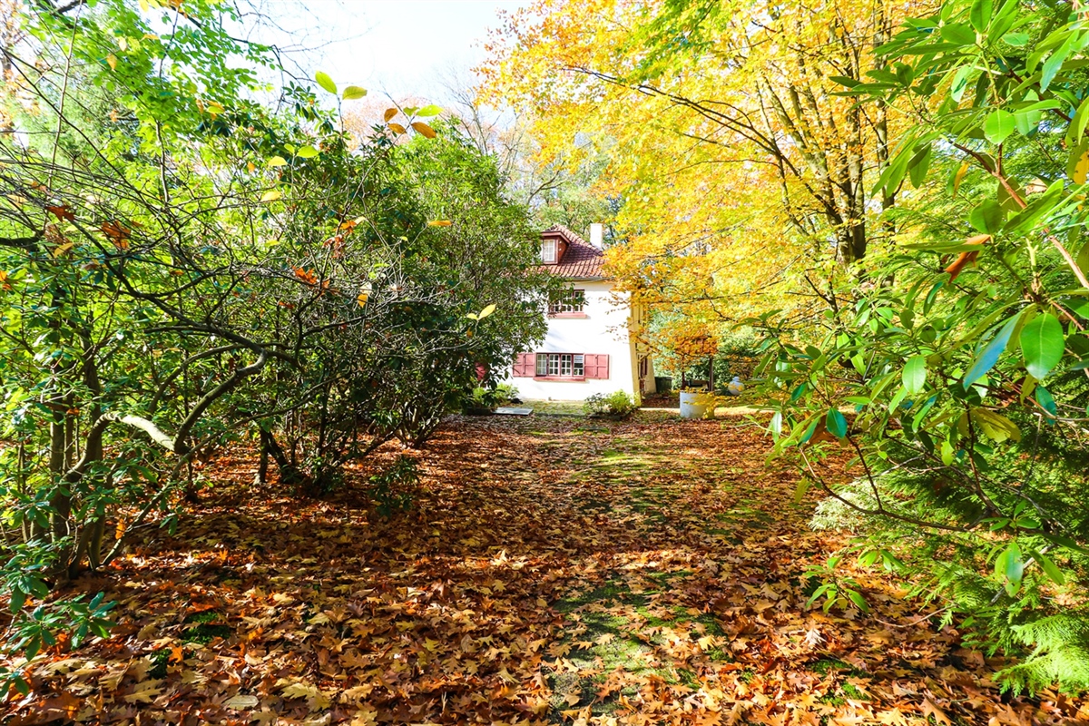 Featured image 3