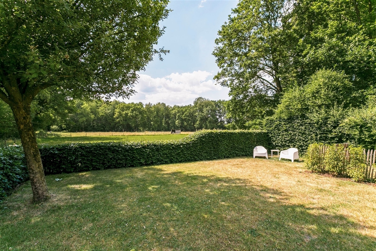 Featured image 4