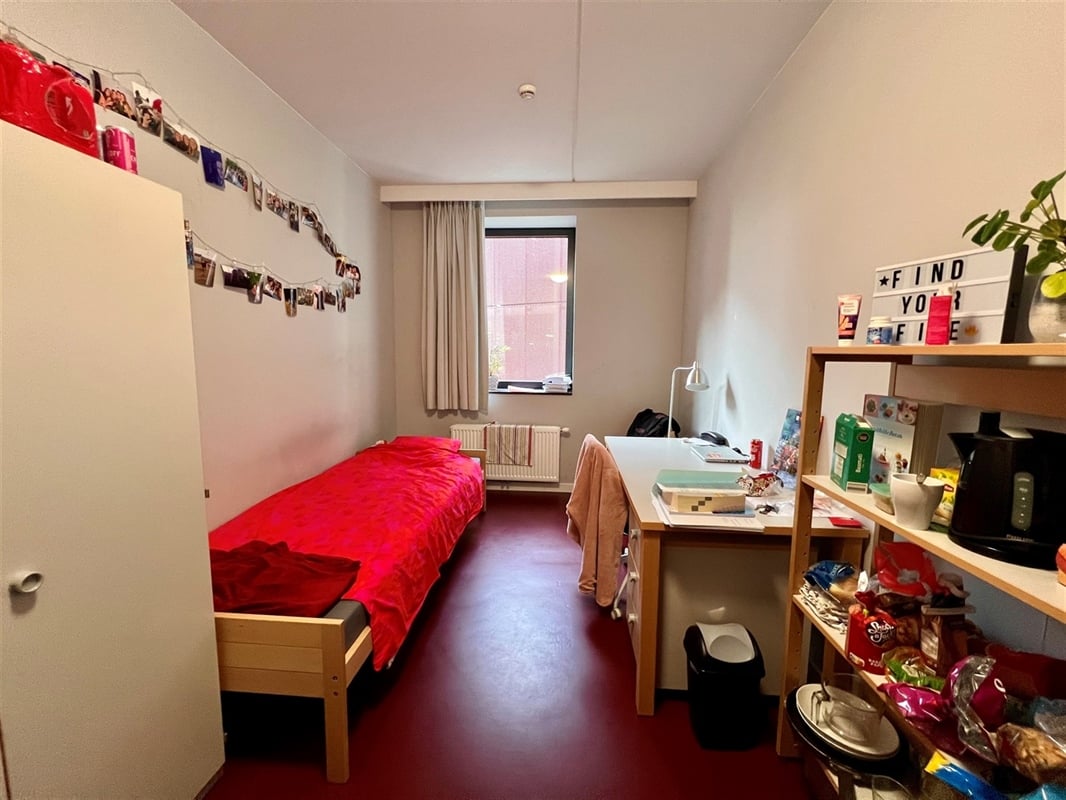 Featured image 4