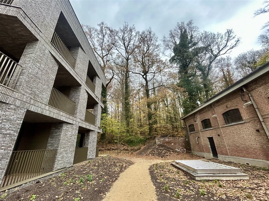 additional-130122-2 Featured image 4