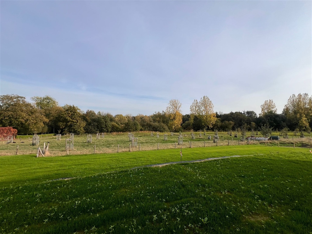 additional-131431-1 Featured image 3