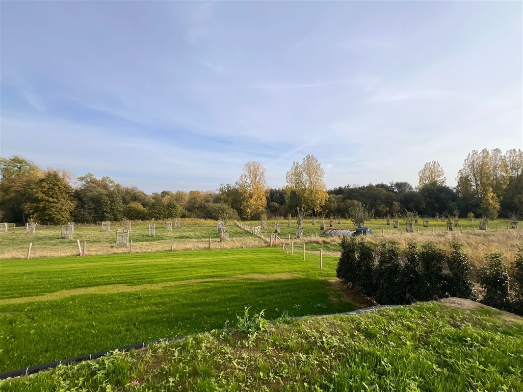 additional-131446-1 Image en vedette 3