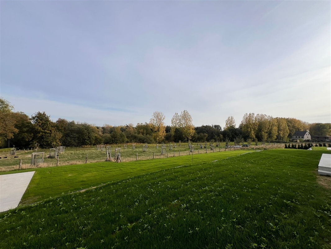 additional-131506-1 Featured image 3