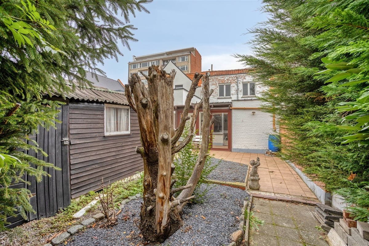 additional-132349-1 Image en vedette 3