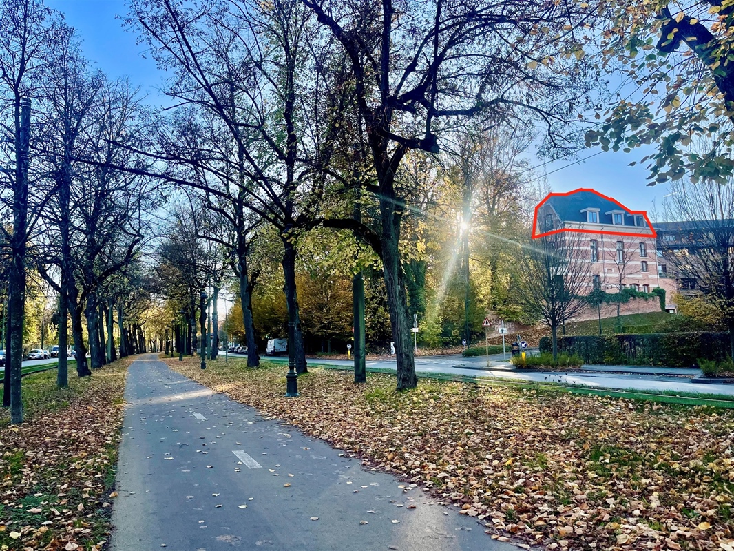 additional-132650-2 Featured image 4