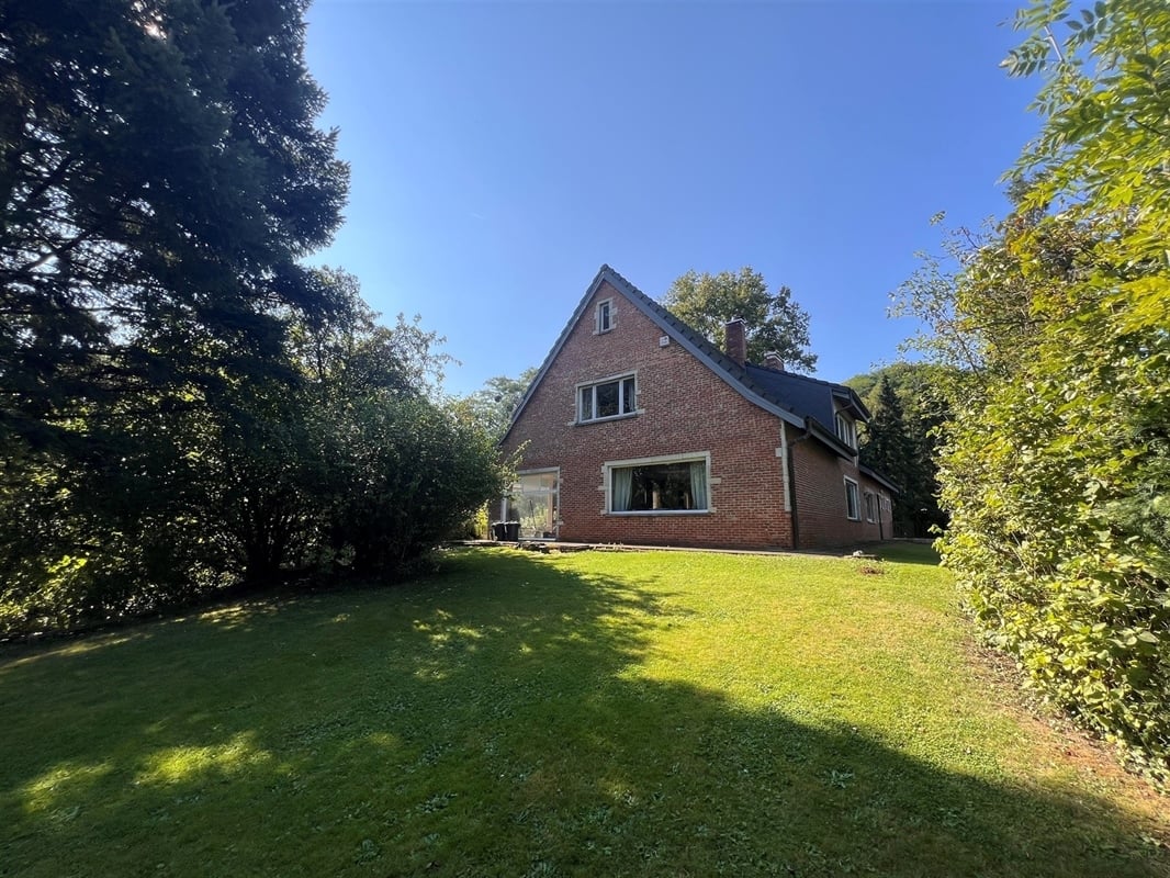 additional-132919-2 Image en vedette 4