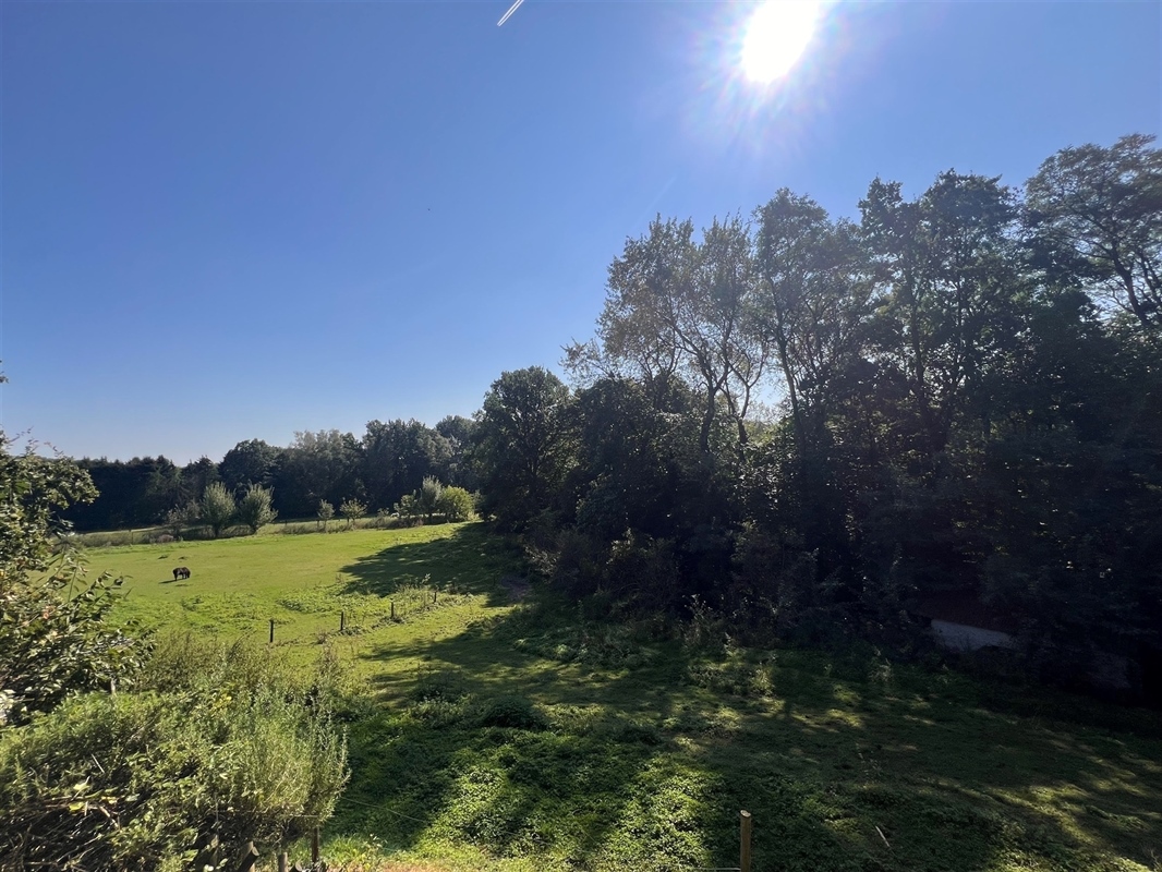 additional-132919 Image en vedette 2