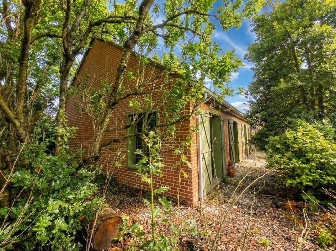 additional-133516-1 Featured image 3