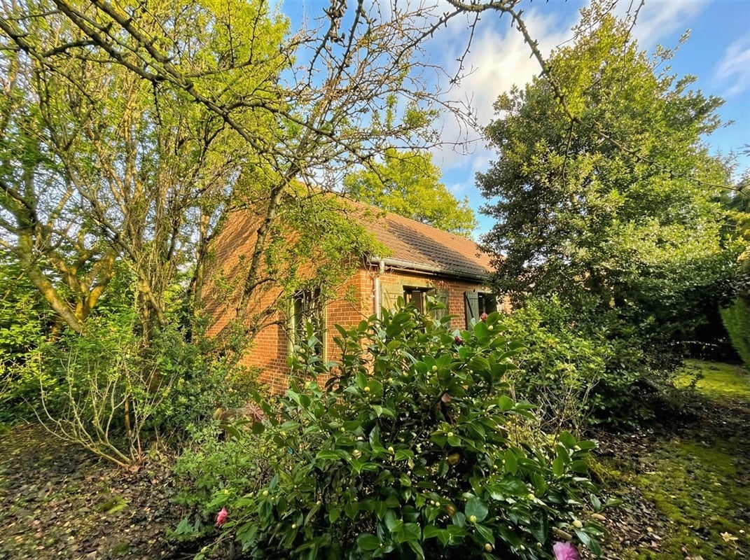 additional-133516-2 Featured image 4