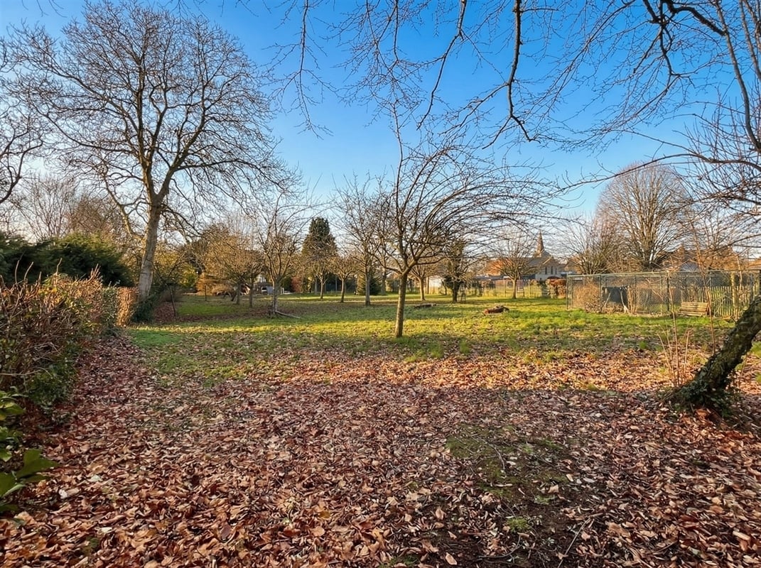 Featured image 3