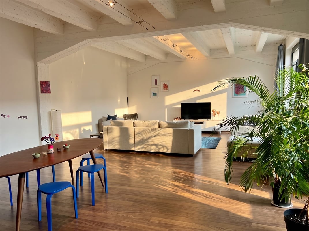 featured-1782