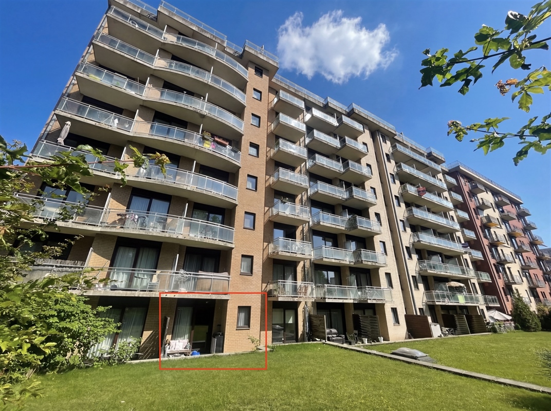 featured-136451