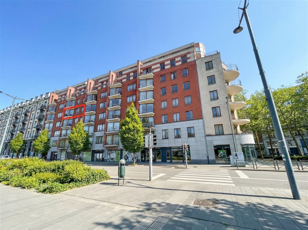 additional-143144 Image en vedette 2