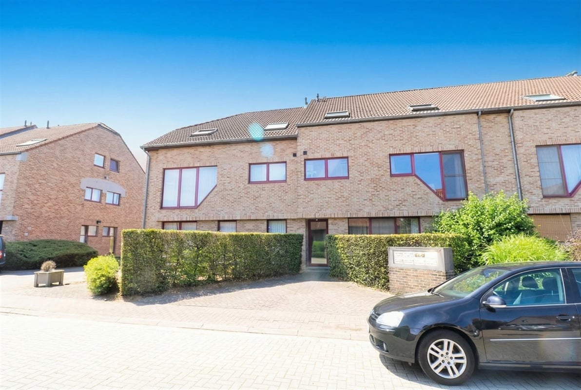 featured-143159