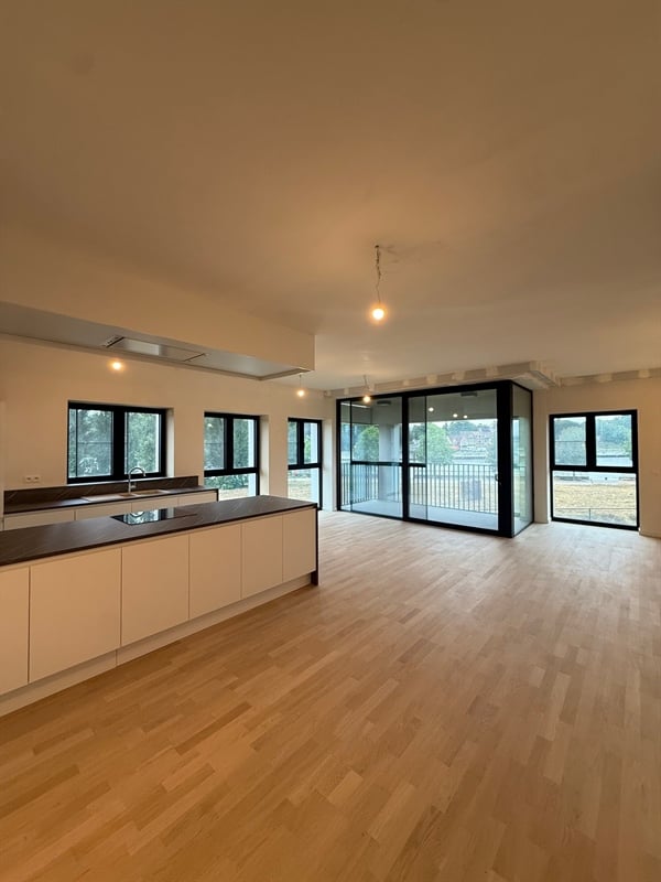 featured-144582