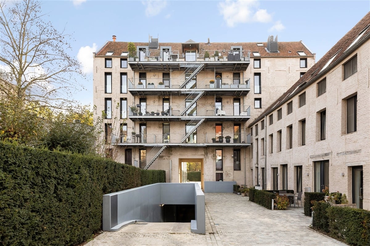 featured-145336